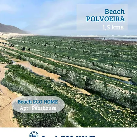 Panzió Eco Penthouse