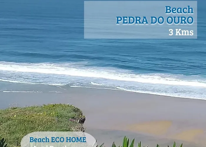 Alojamento de Acomodação e Pequeno-almoço Eco Penthouse *