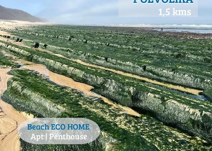 Alojamento de Acomodação e Pequeno-almoço Eco Penthouse